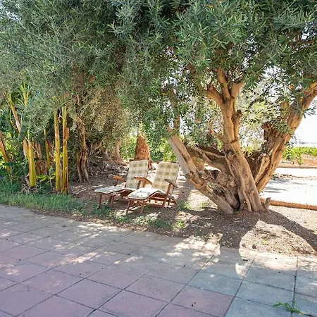 别墅 Azahar - Piscina - Barbacoa - Naturaleza 瓦伦西亚