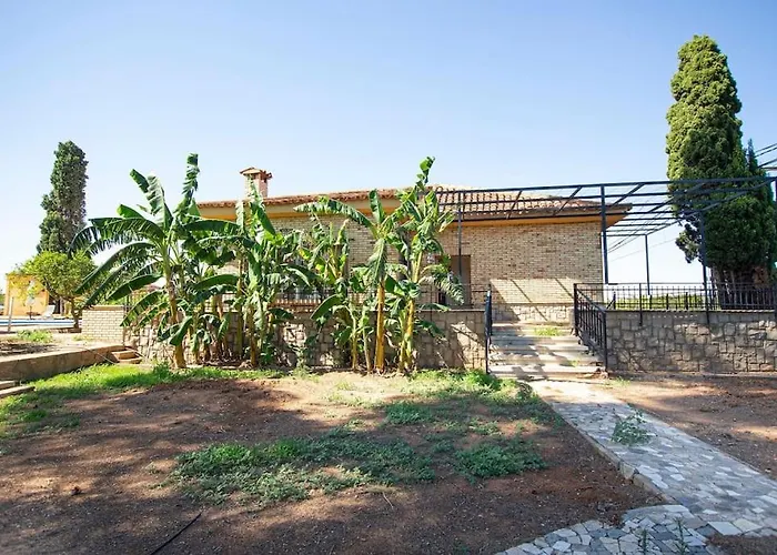 Azahar - Piscina - Barbacoa - Naturaleza Valenza